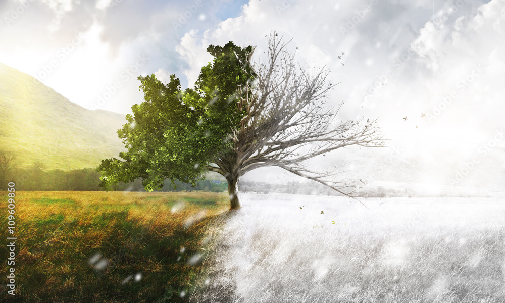 Seasons Winter Sommer Stock Illustration Adobe Stock Seasons Winter Sommer Stock Illustration Adobe Stock
