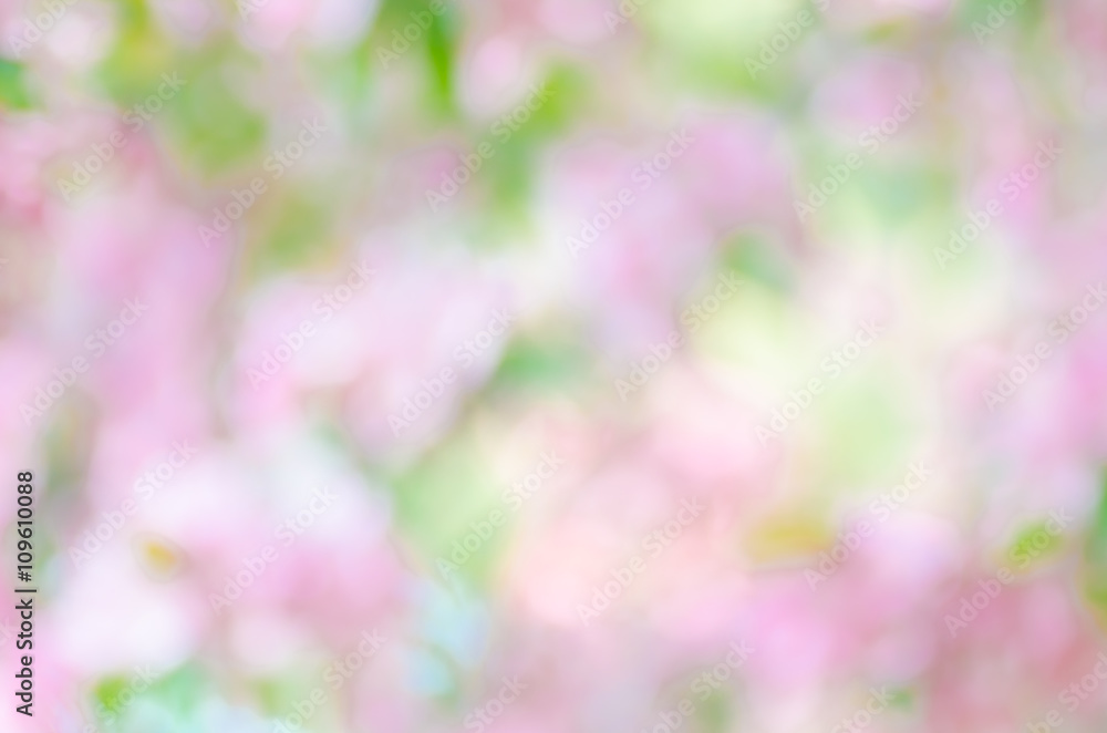 blurred spring nature background