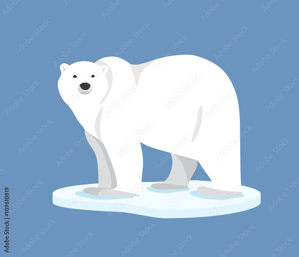 Obraz premium Polar bear standing on ice floe, side view