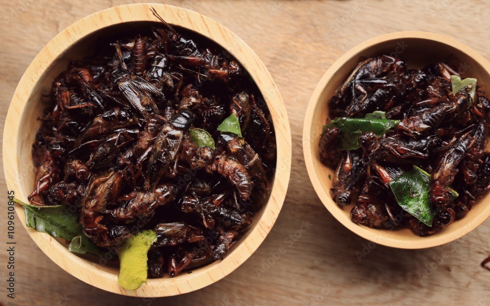 fried insects fried insects