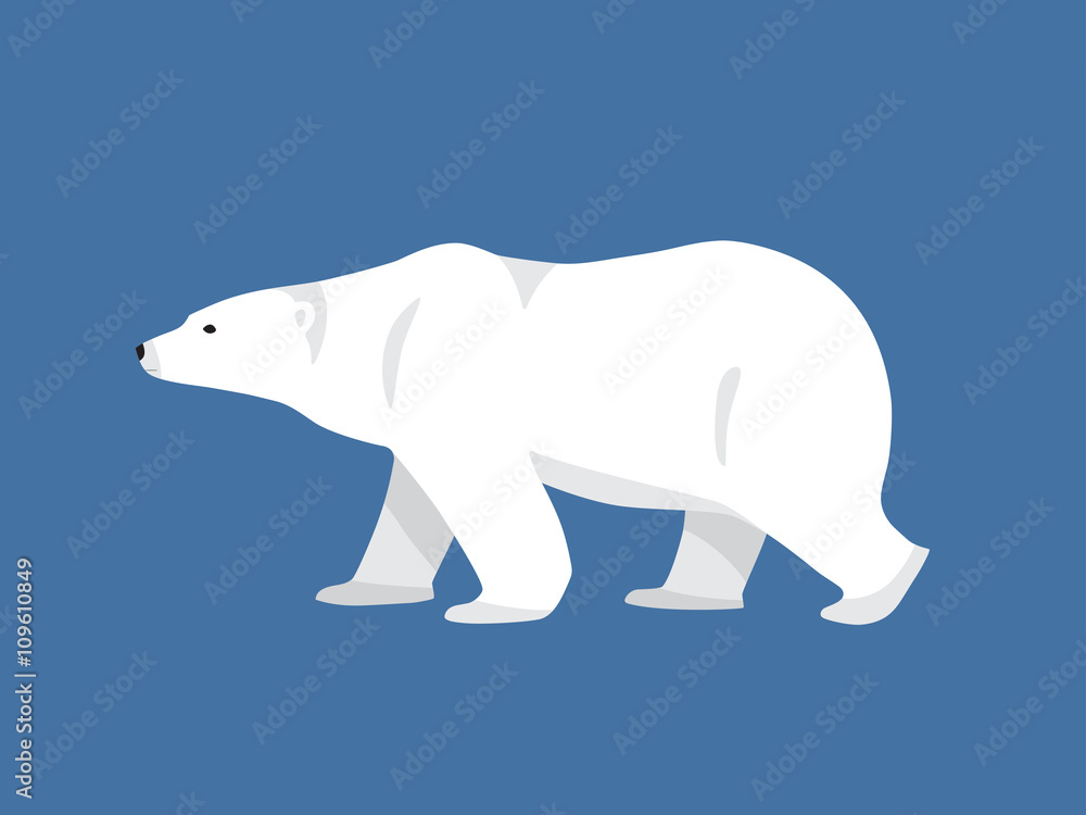 Fototapeta premium Polar bear hand drawn illustration, flat style