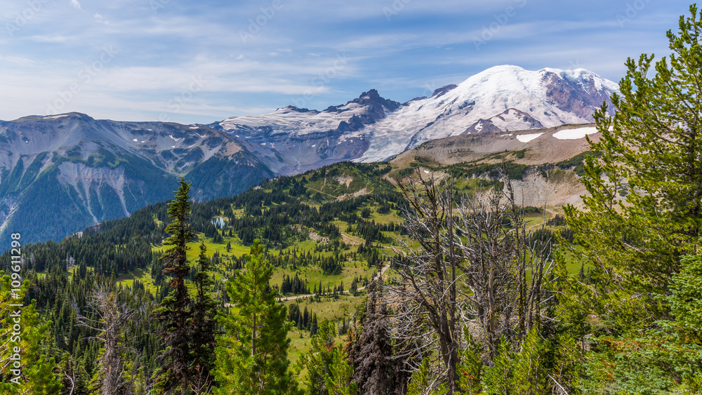 Summer landscape in mountains. Amazing view at the snowy peaks which rose against the blue of a cloudless sky. BERKELEY PARK TRAIL, Sunrise Area, Mount Rainier National Park