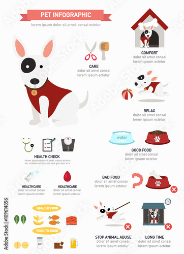 dog infographic,vector