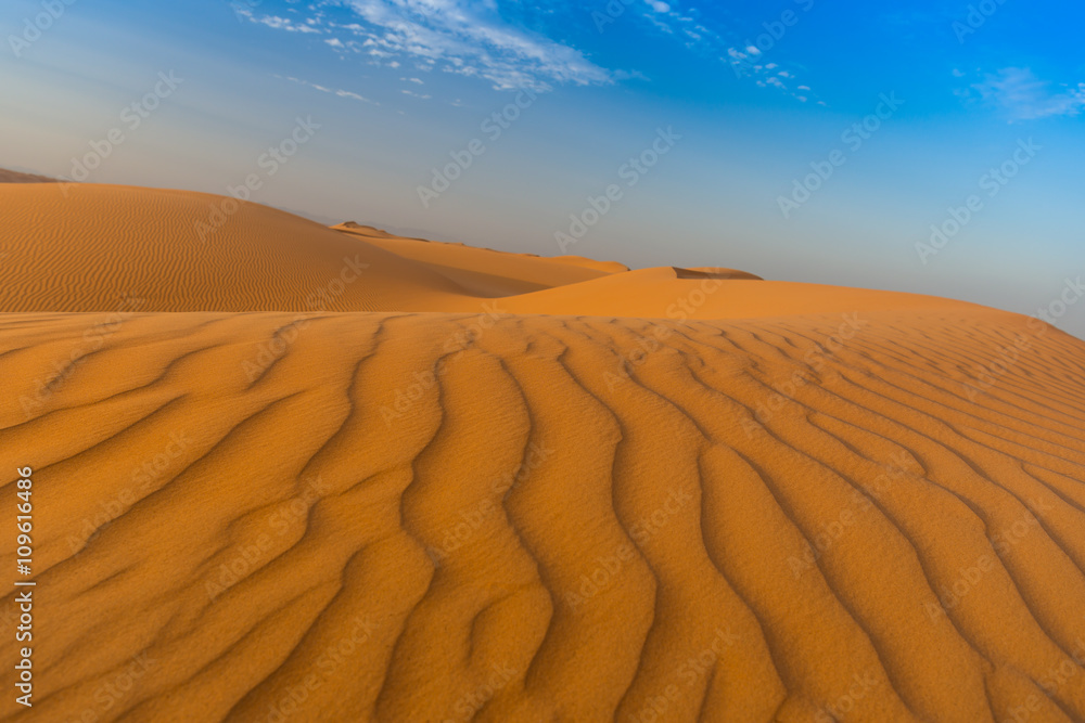 Fototapeta premium Fascination desert