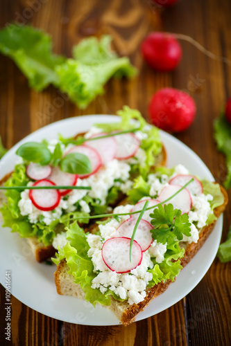 sandwich with cheese, radish and lettuce