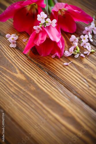 Bunch of beautiful tulips 