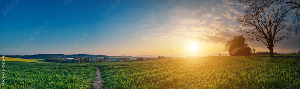 Sunrise sky over green field at springtime, rural landscape pano