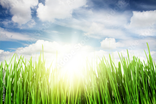 Green grass field and blue sky with sun