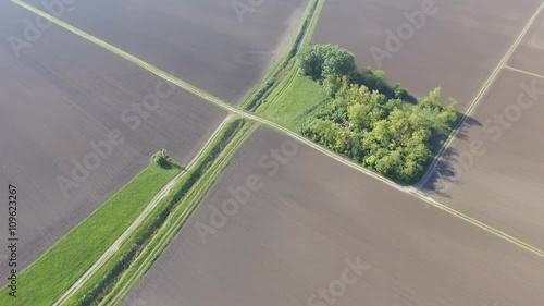 Late afternoon fying above small irigation river, plain of Vojvodina, northern Serbian province photo