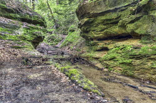 A woodland stream flows through a ravine with mossy rock walls.