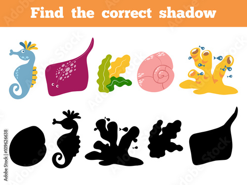Find the correct shadow. Vector color set of sea life