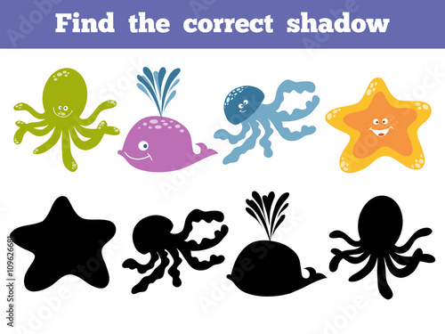 Find the correct shadow. Vector color set of sea life