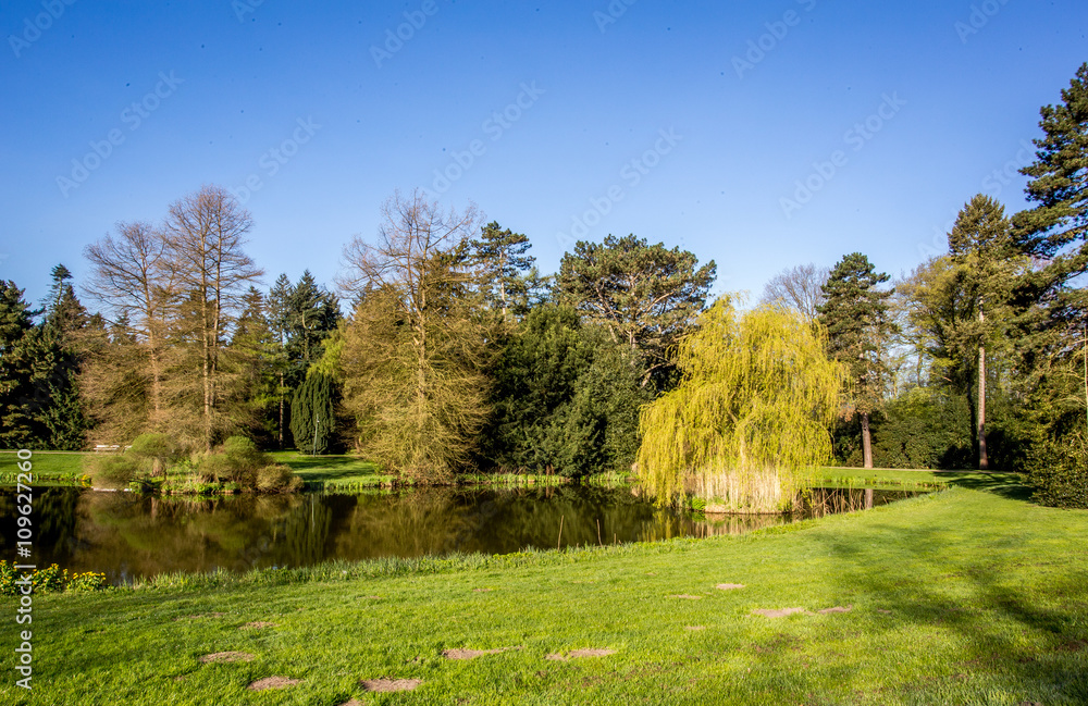 Teich im Bürgerpark von Bremen an einem sonnigen Frühlingstag