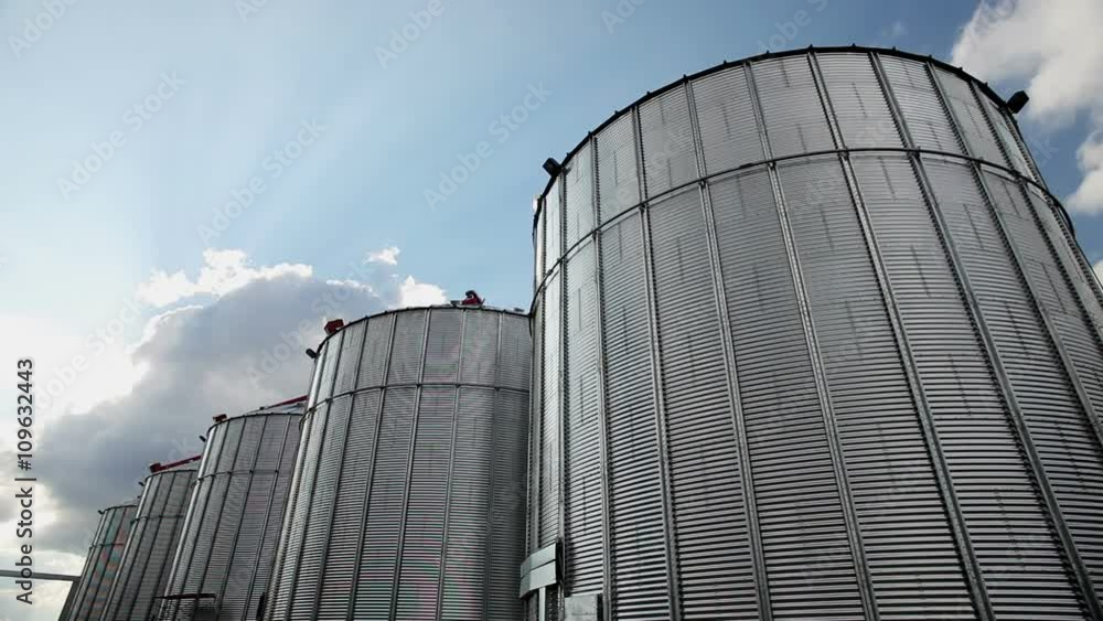 The harvest of cereals. Storage of wheat grain. The harvest of cereals. Storage of wheat grain.