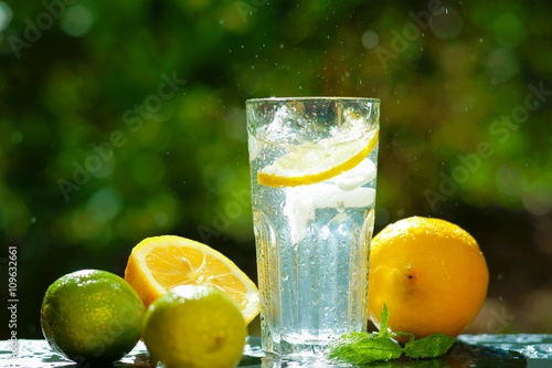Fresh water with lemon, lime and mint 