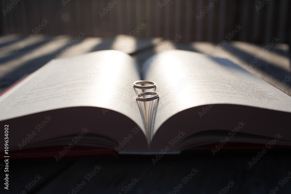 Silver wedding rings on the book Silver wedding rings on the book
