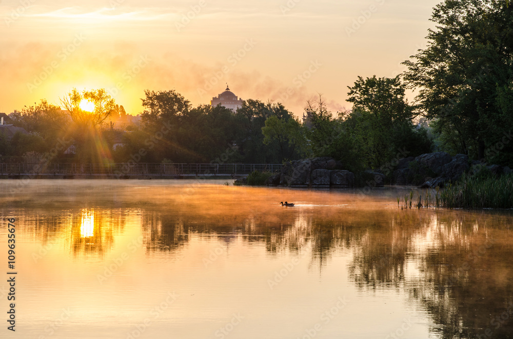 Fototapeta premium Morning on the river