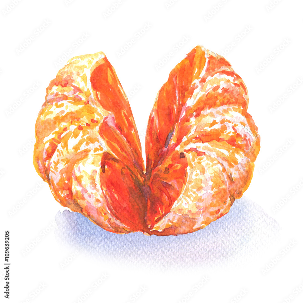 Open tangerine or orange fruit isolated on white, watercolor illustration Open tangerine or orange fruit isolated on white, watercolor illustration