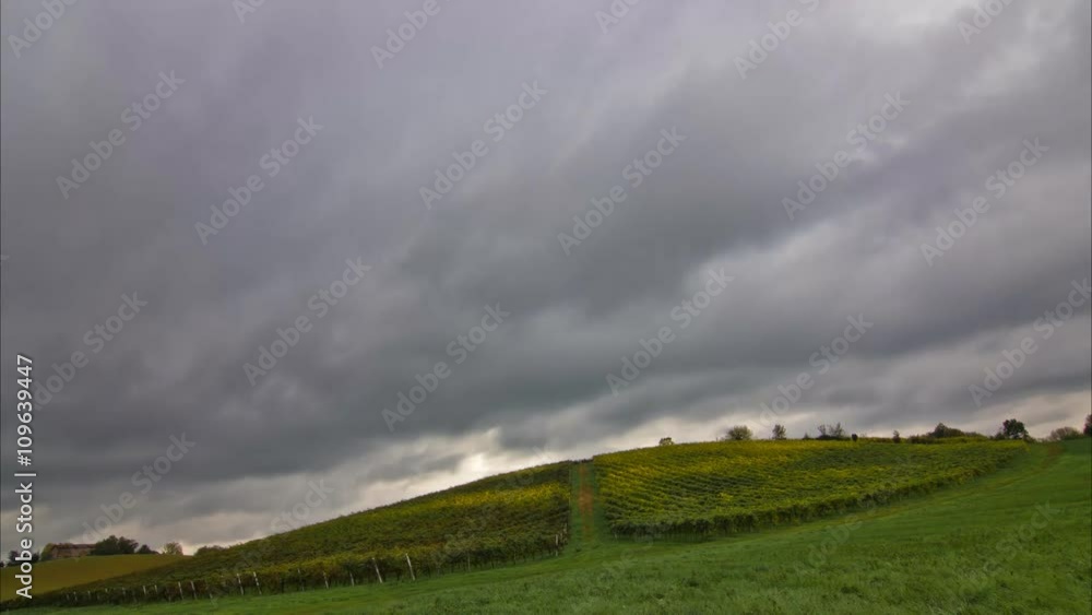 vineyard with dramatic cloudy sky moving fast time lapse