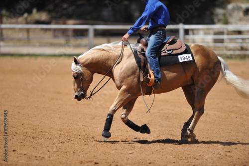 Fragment of the side view of a rider on a horseback during the NRHA competition.