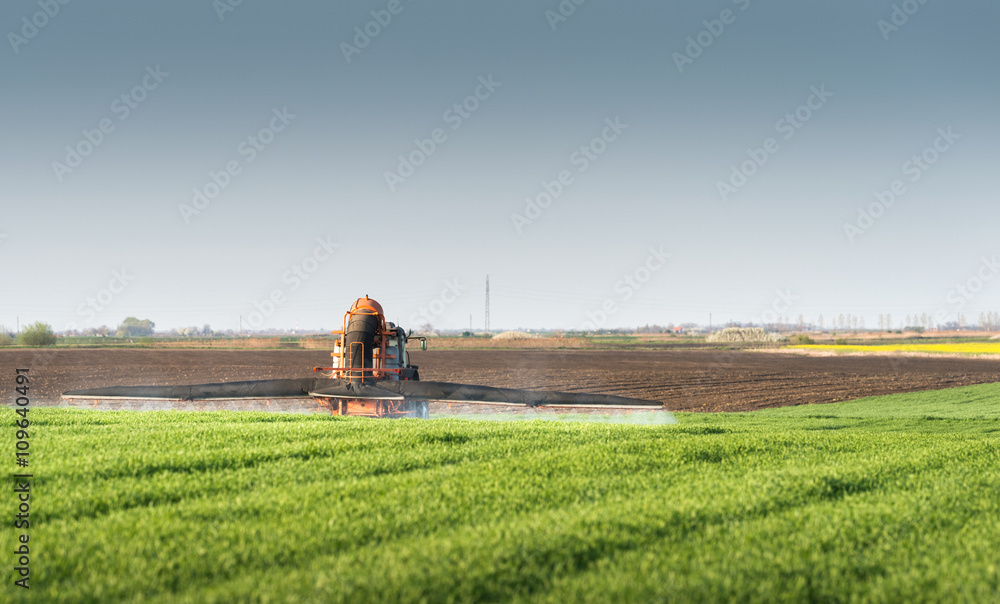 Obraz premium Tractor spraying wheat field