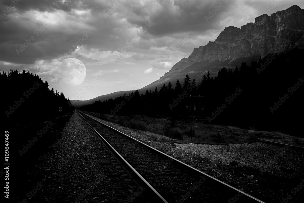 Fototapeta premium journey