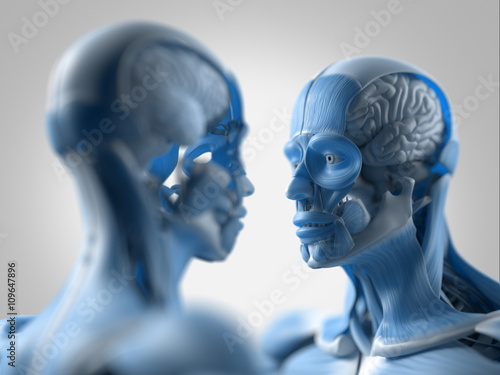 Facing human anatomy models, male and female. Woman and man looking at each other. 3D Illustration.