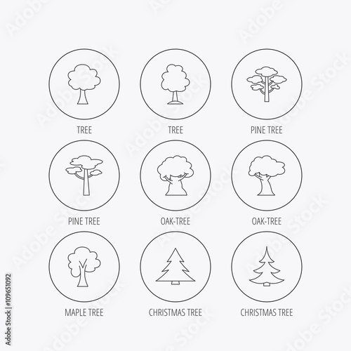 Pine tree, maple and oak icons. Christmas tree.