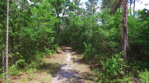 Hiking path in a heavily wooded forest