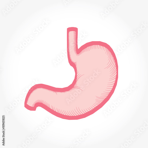 Stomach hand drawn sketch icon. Stomach symbol isolated.
