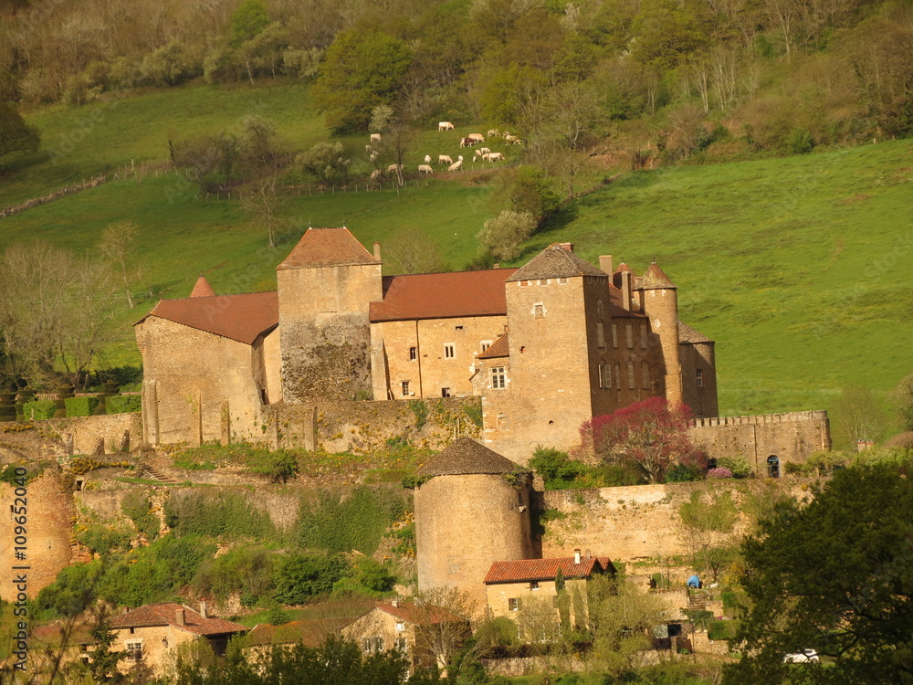 Bourgogne - Saône -et-Loire - Château de Brézé-le-Chatel Bourgogne - Saône -et-Loire - Château de Brézé-le-Chatel