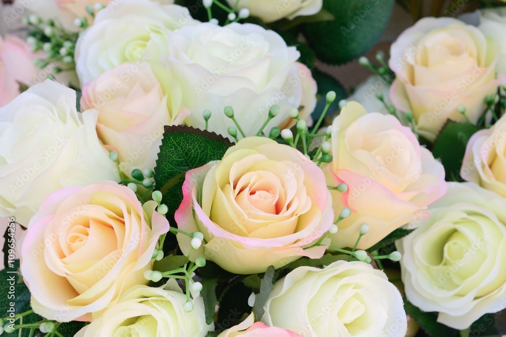 Fototapeta premium white rose closeup