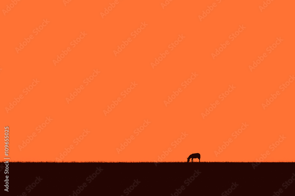 Abstract African skyline with a grazing zebra