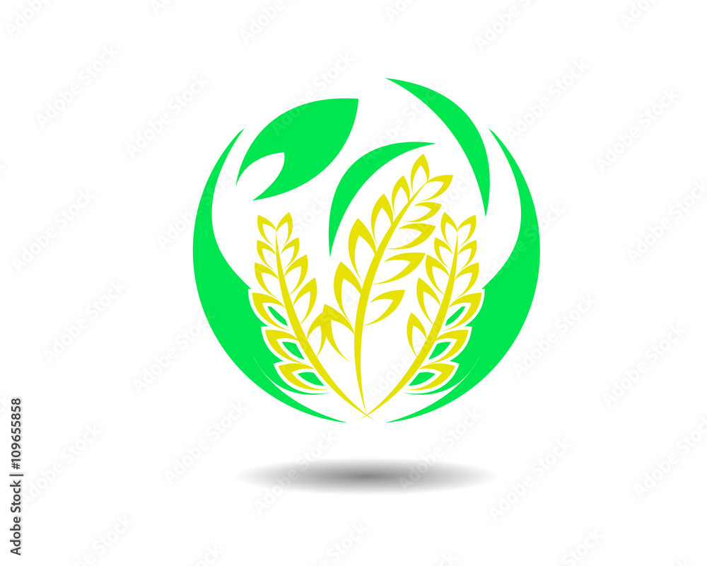 Organic Wheat Logo Organic Wheat Logo