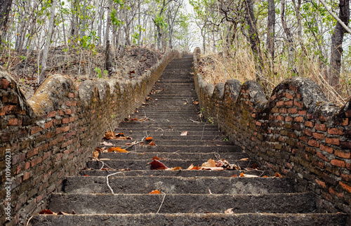 Stairway through a national park