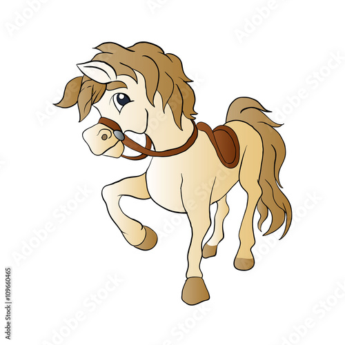 Beautiful horse