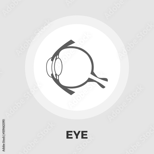 Anatomy eye flat icon