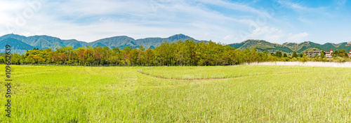 Marshy areas at Sengokuhara in Hakone, Japan. It is located in the northern part of the Hakone caldera. photo