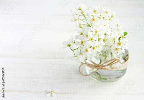 White spring orchard blossom in handmade vase - glass jar with twine ribbon. Soft light, soft focus. 