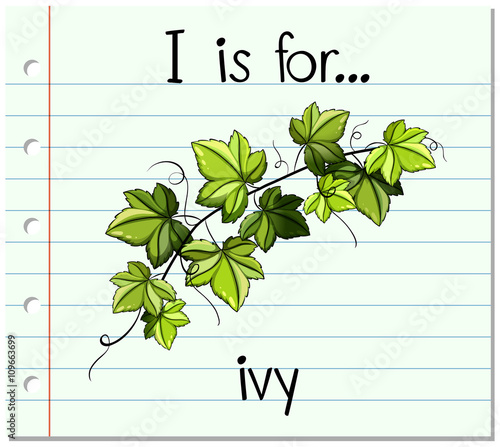 Flashcard alphabet I is for ivy