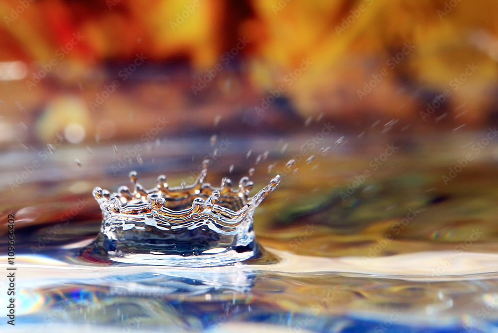 falling drop of water close-up falling drop of water close-up