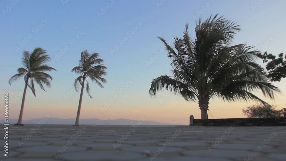 Landscape of beach sunset. Palm trees blowing in the wind on sunset Landscape of beach sunset. Palm trees blowing in the wind on sunset