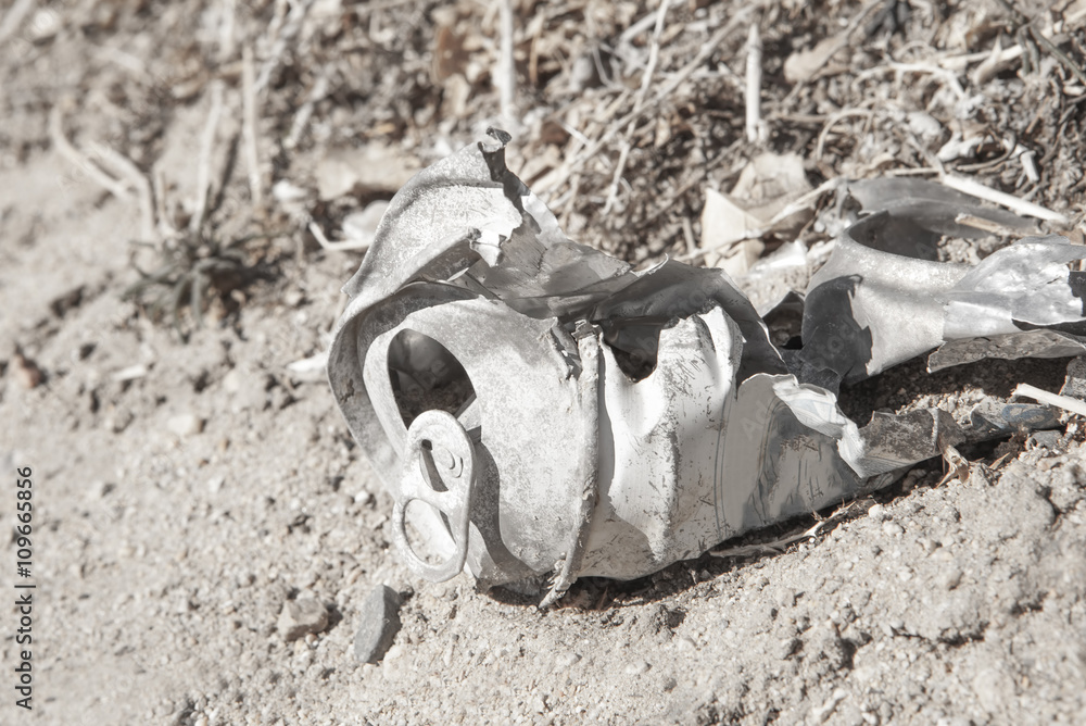 Obraz premium Old can close up