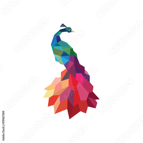 Peacock colored initial submissions to polygons design style low poly accurate side art animal quality for your business logo