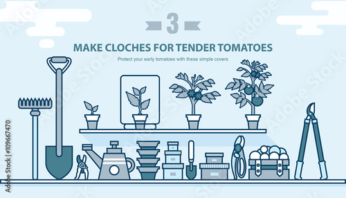 set garden tools, seedling tomatoes on the shelf in line style
