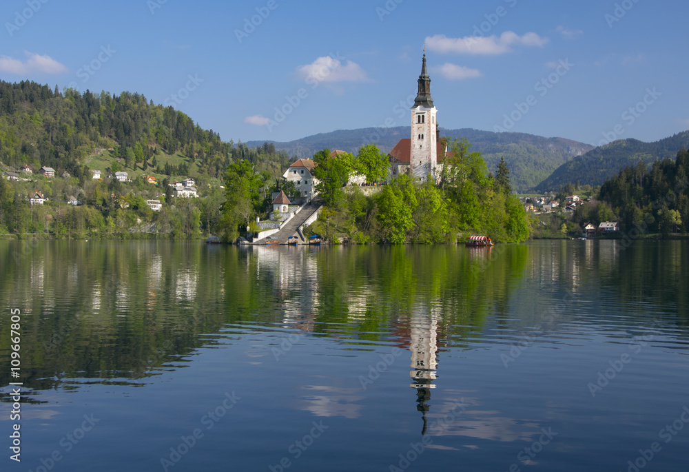 Fototapeta premium Bled lake and pilgrimage church with mountain landscape background