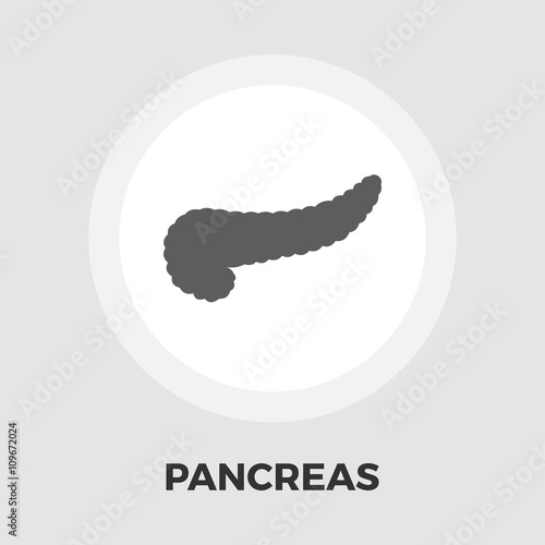 Pancreas icon flat