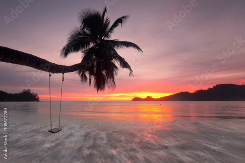 schräge Palme mit Schaukel am Strand, Seychellen Urlaub