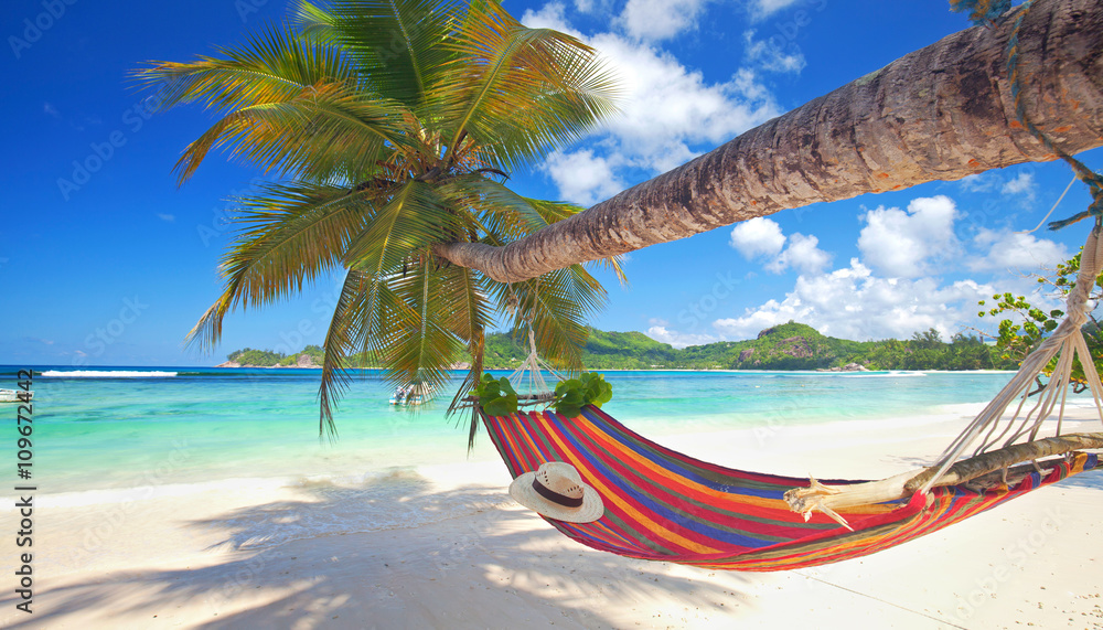 Fotografering, Billede Urlaub am Meer, Inselparadies Seychellen mit  Hängematte am Strand på Europosters.dk