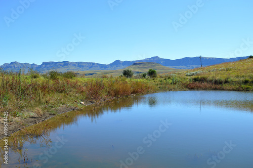 Drakensberg mountains with grass and pond